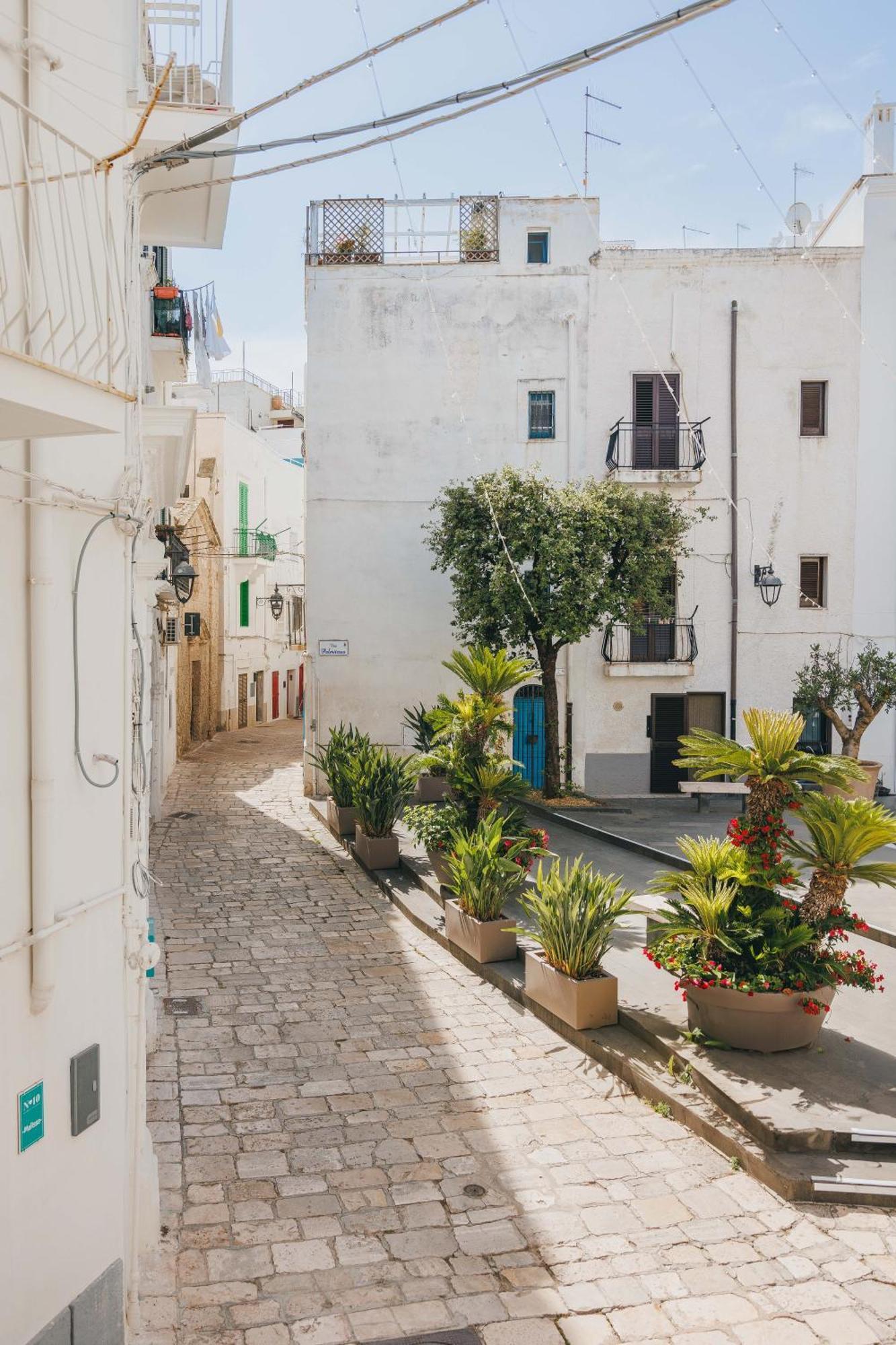 Santa Maria 24 Apartment Monopoli Ngoại thất bức ảnh